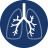 Respiratory Products